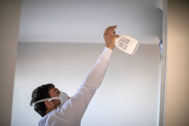 Best HVAC Mold Remediation in Colonial Heights, VA